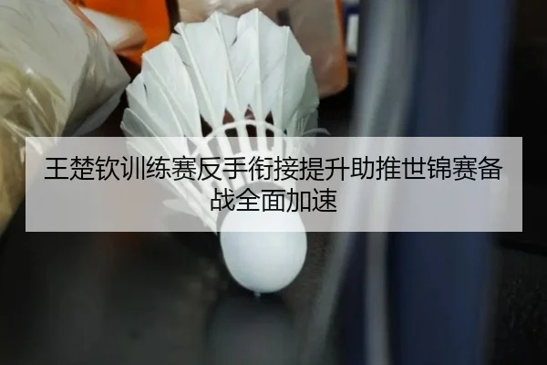 王楚钦训练赛反手衔接提升助推世锦赛备战全面加速