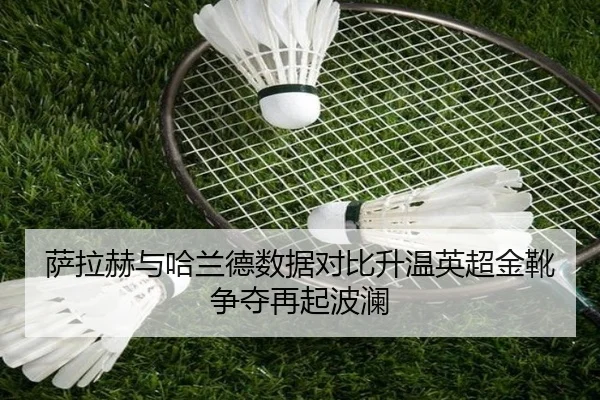 萨拉赫与哈兰德数据对比升温英超金靴争夺再起波澜