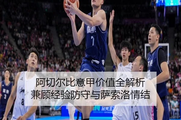 阿切尔比意甲价值全解析 兼顾经验防守与萨索洛情结