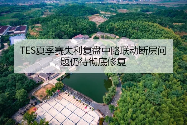 TES夏季赛失利复盘中路联动断层问题仍待彻底修复